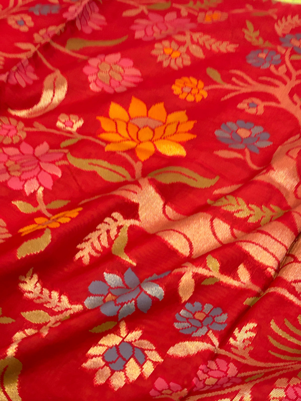 Crimson Red Pure Katan Silk Jamdani Saree with Royal Blue Zari Scallop Border