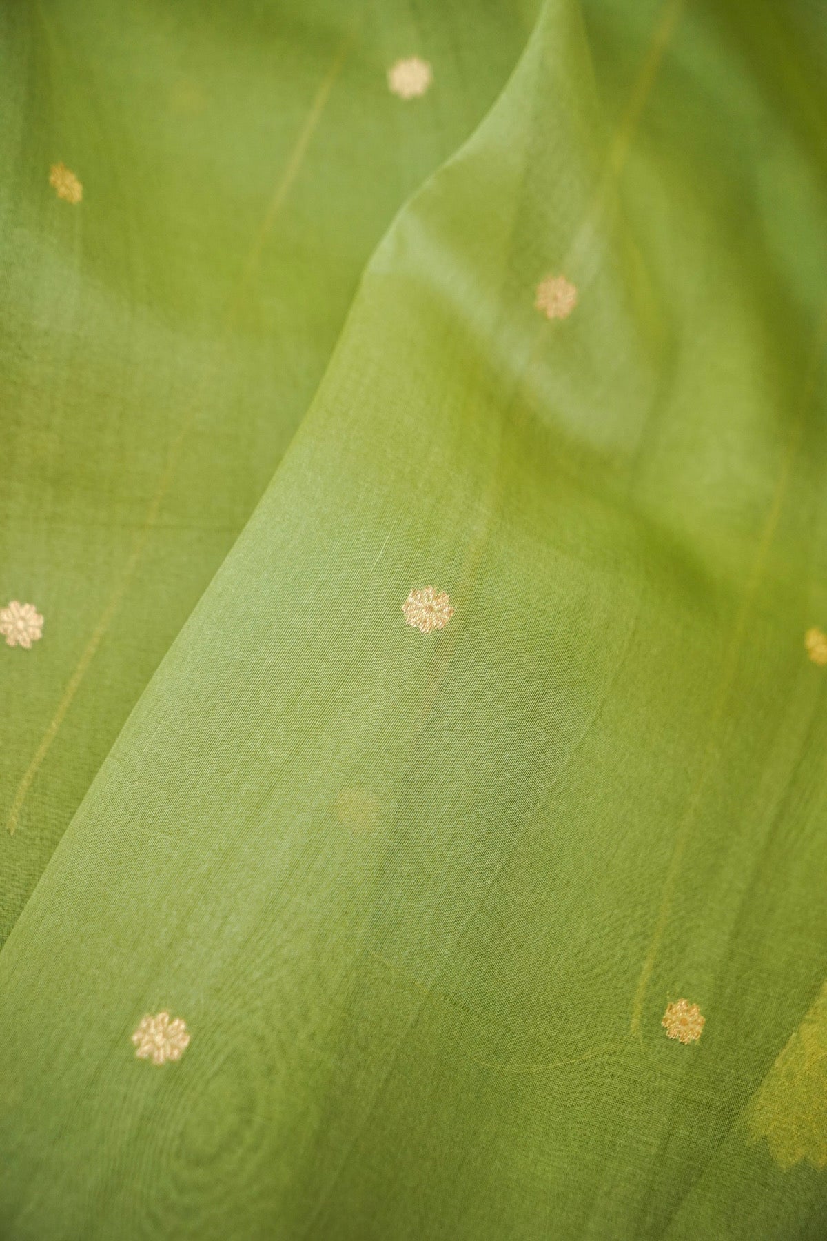 Vrinda Forest Silk