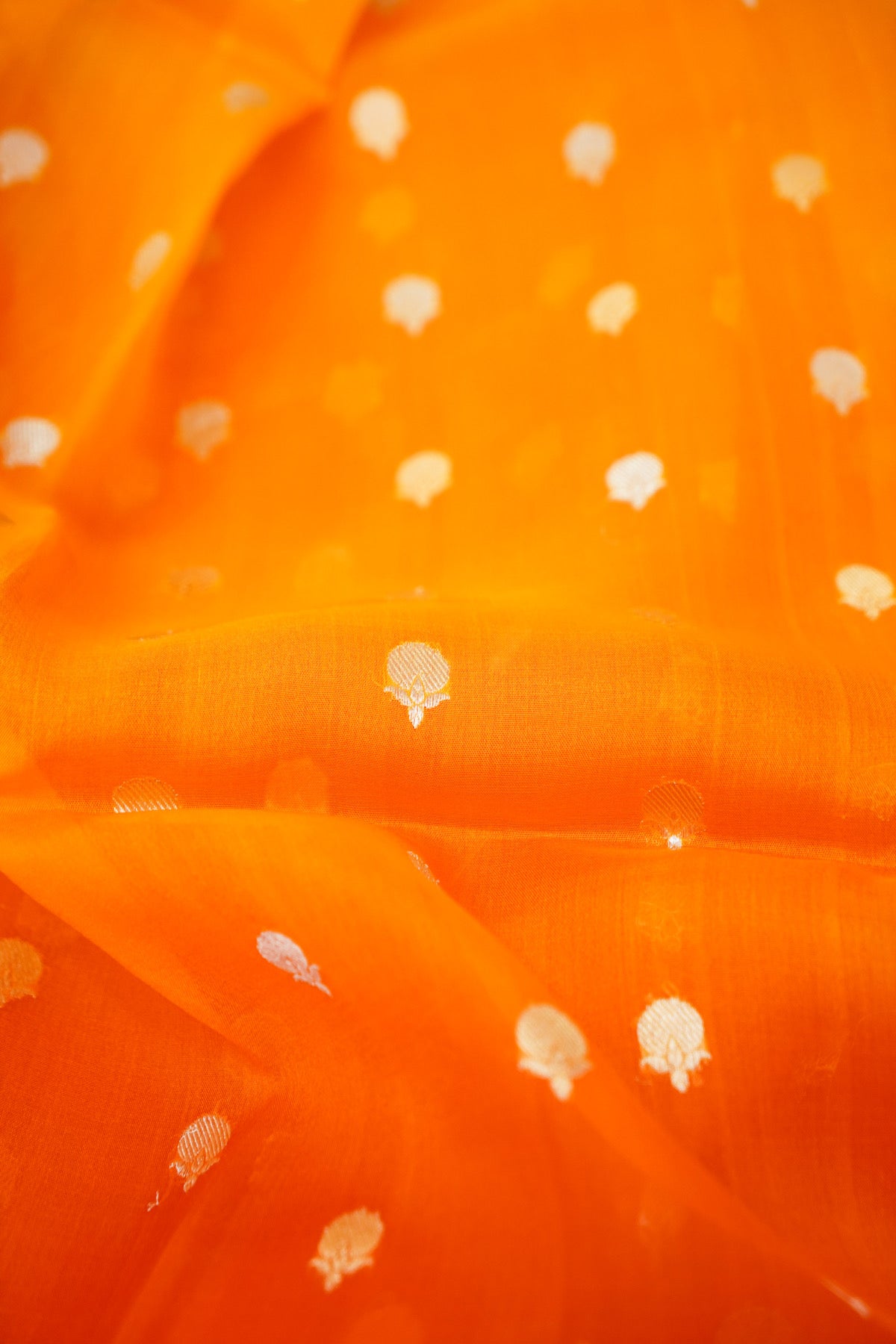 MARIGOLD KORA