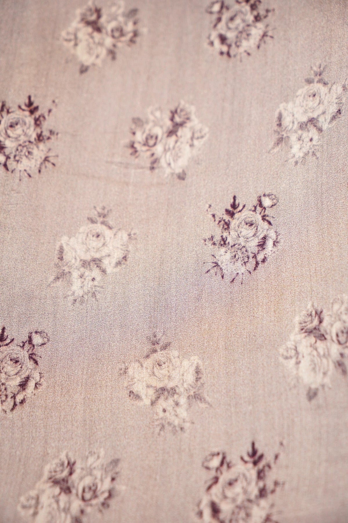 Rose-Noir Glaze Organza