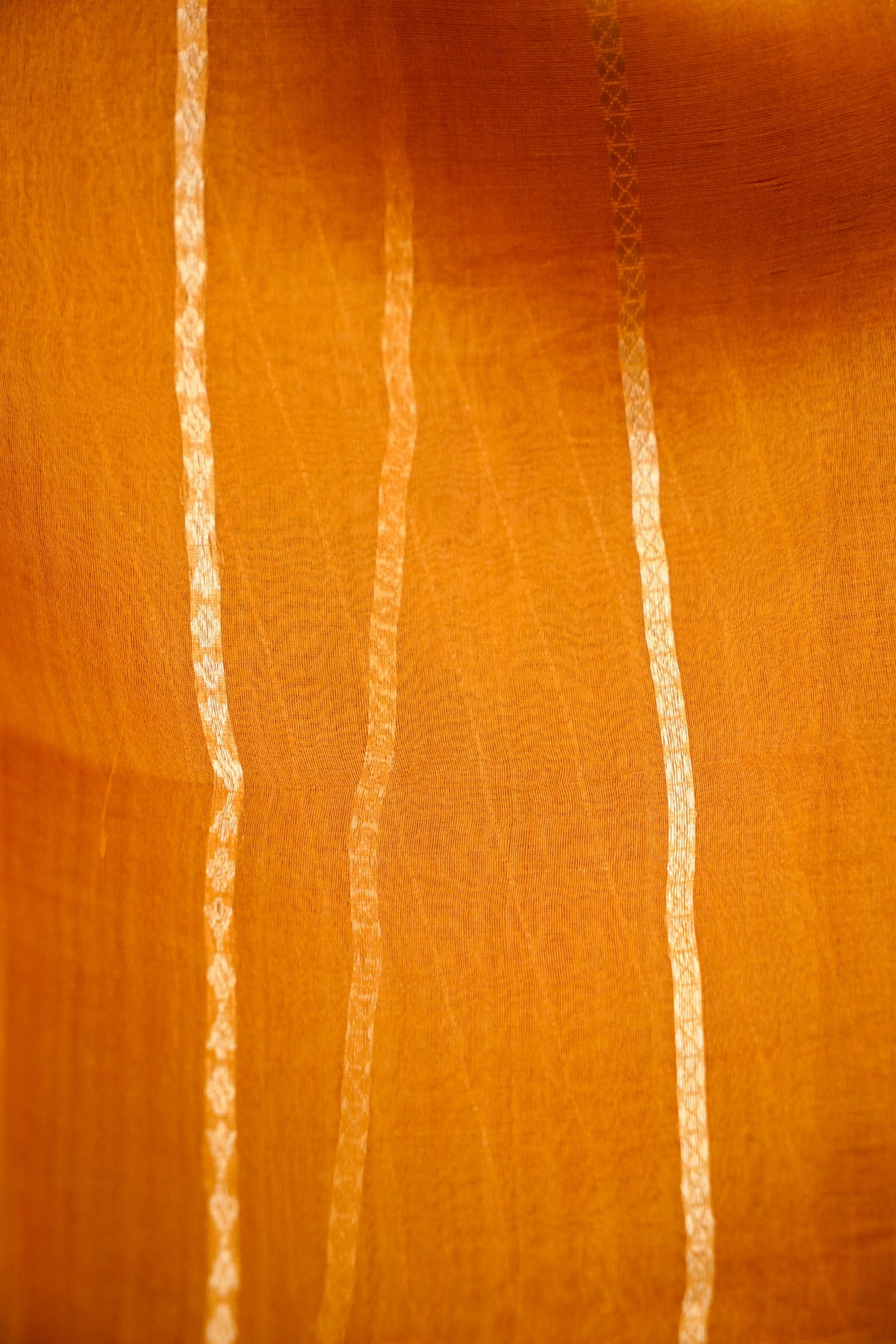 First Dawn Saffron