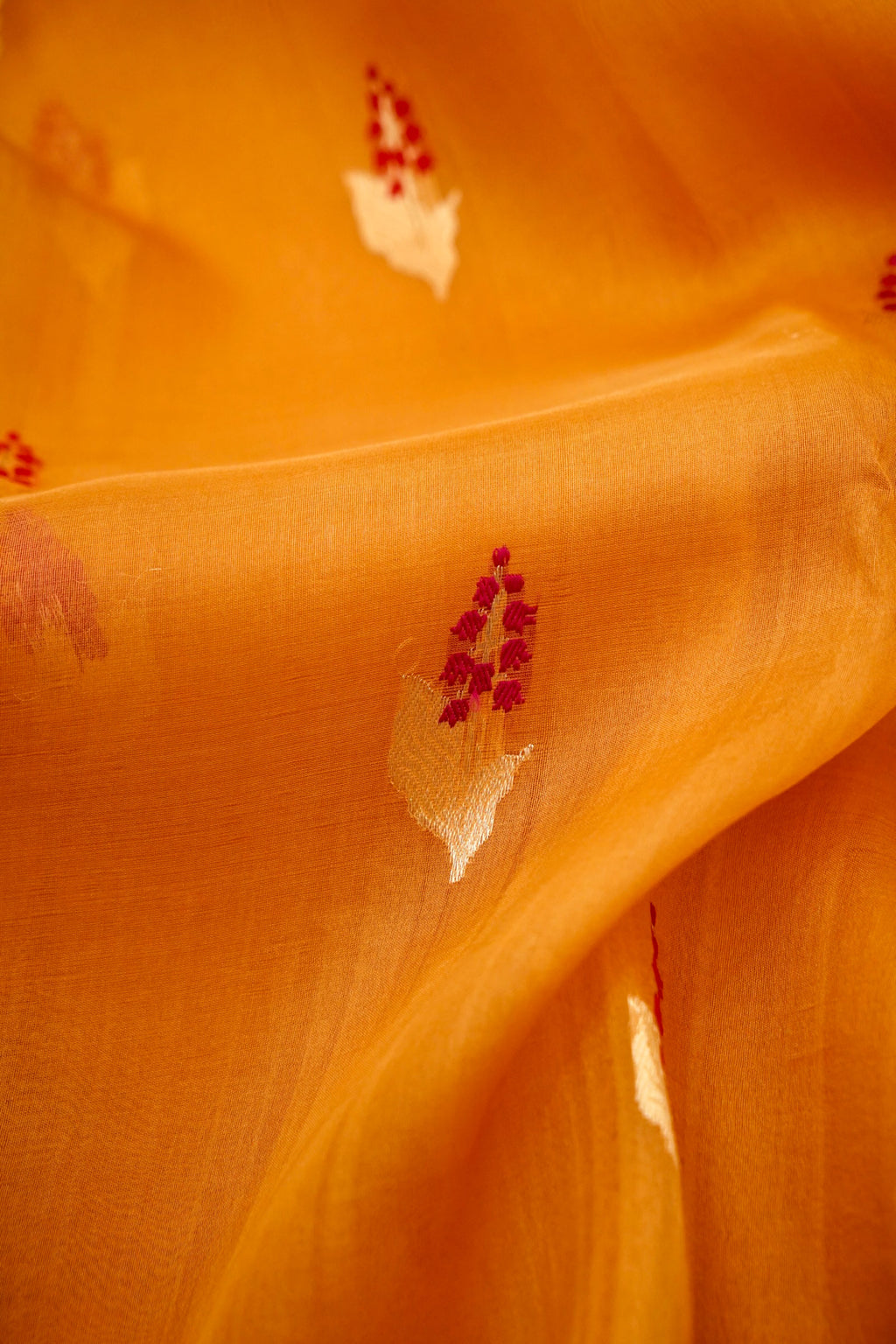 First Dawn Saffron