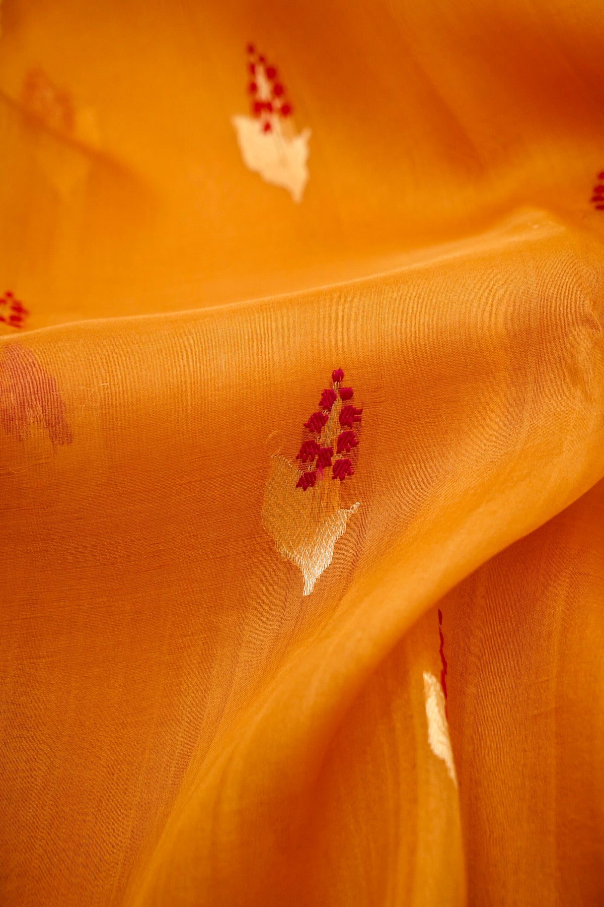 First Dawn Saffron