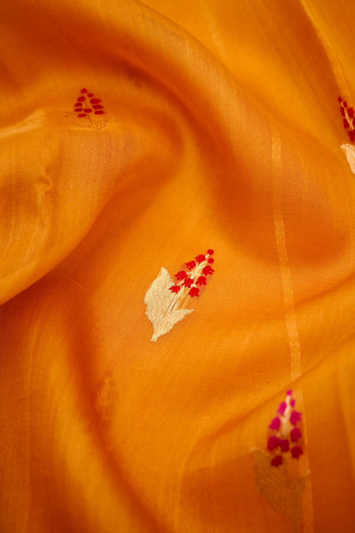 First Dawn Saffron