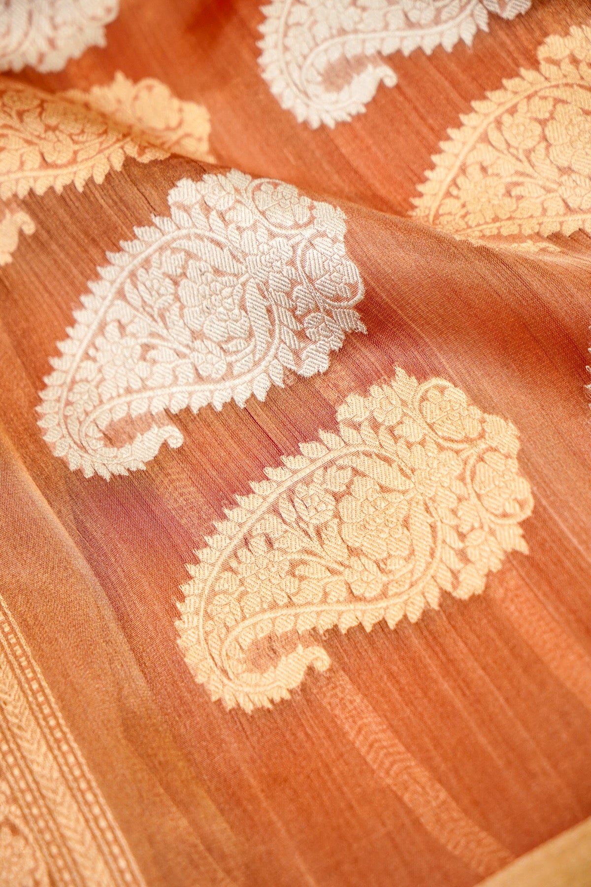 Summer Apricot Shimmer