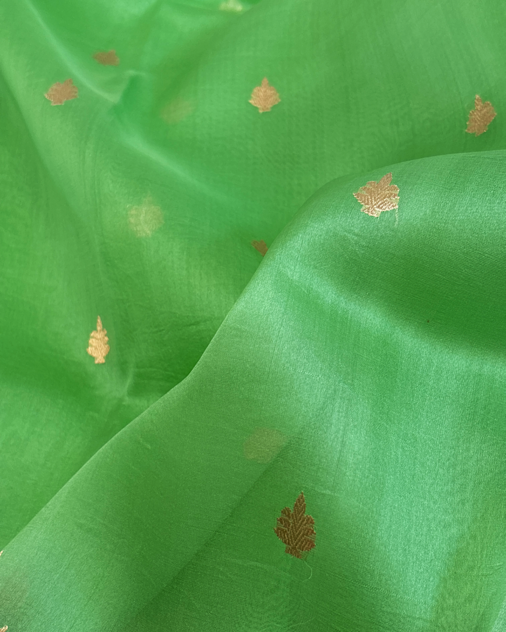Pure Banarasi Handloom Kora in green with bege boder