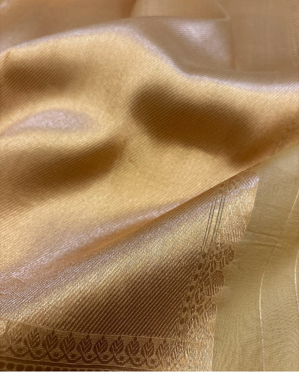 Pure Banarasi Handloom Kora in Beige