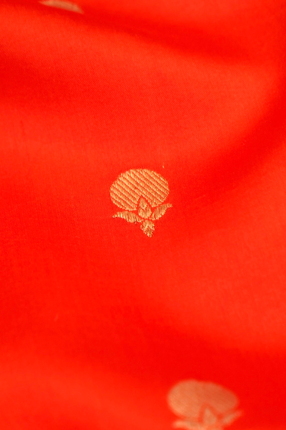 The Saffron Rose