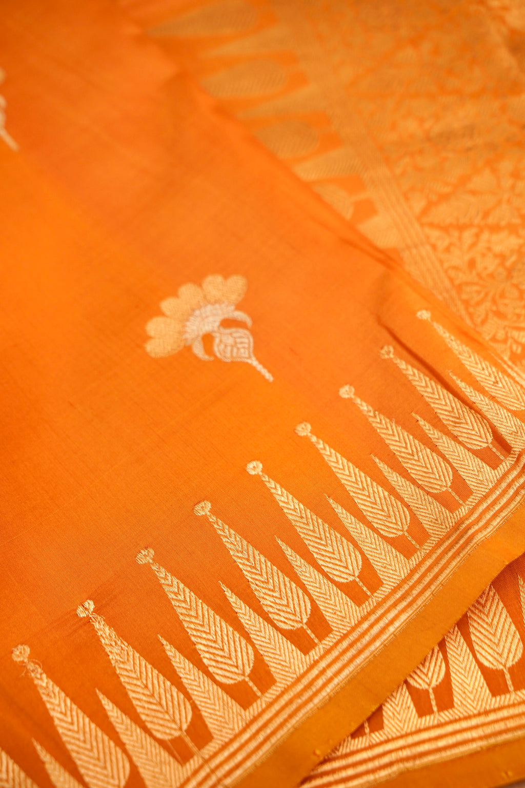 Amber-Bindu